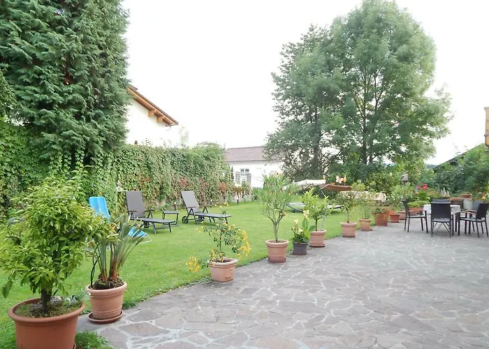 Vogl * דראכזלשריד